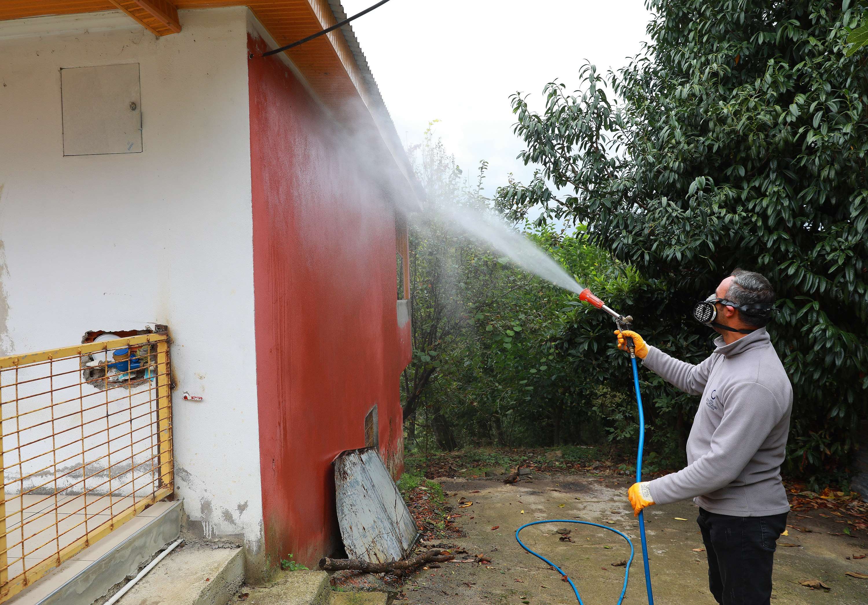 KAHVERENGİ KOKARCA İLE MÜCADELEYE BÜYÜKŞEHİR DESTEĞİ